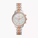 Montre Fossil ES5279 Neutra