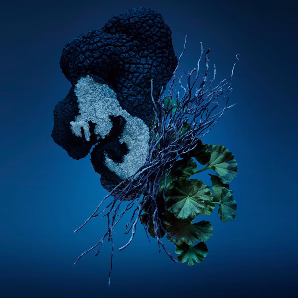 Bad Boy Cobalt Carolina Herrera EDP 100 ml – Image 3