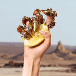 Dolce & Gabbana Q EDP 100 ml – Image 3