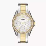 Montre Fossil Riley ES3204