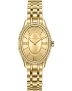 Montre Cerruti 1881 CIWLG0097602