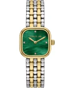 Montre Cerruti 1881 CIWLG0086603