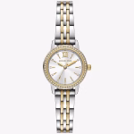 Montre Michael Kors MKO1172