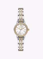 Montre Michael Kors MKO1172