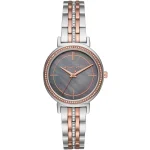 Montre Michael Kors MK3642