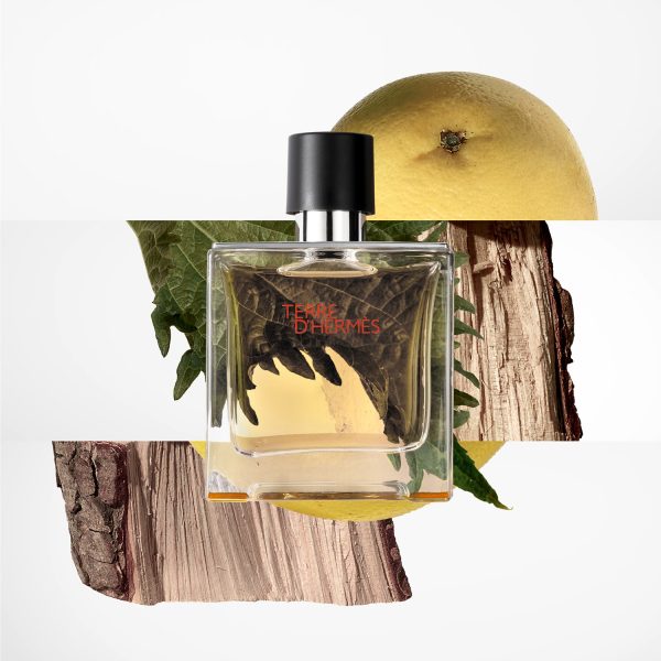 Terre d’Hermès Pure Parfum 75 ml – Image 3